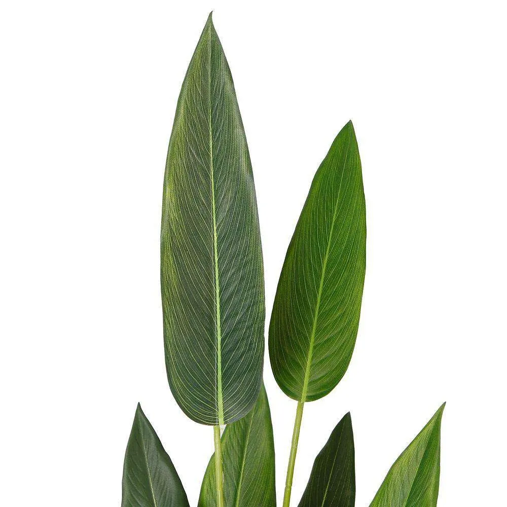 Suspendisse artificialis avis paradiso potted plant (multa moles)