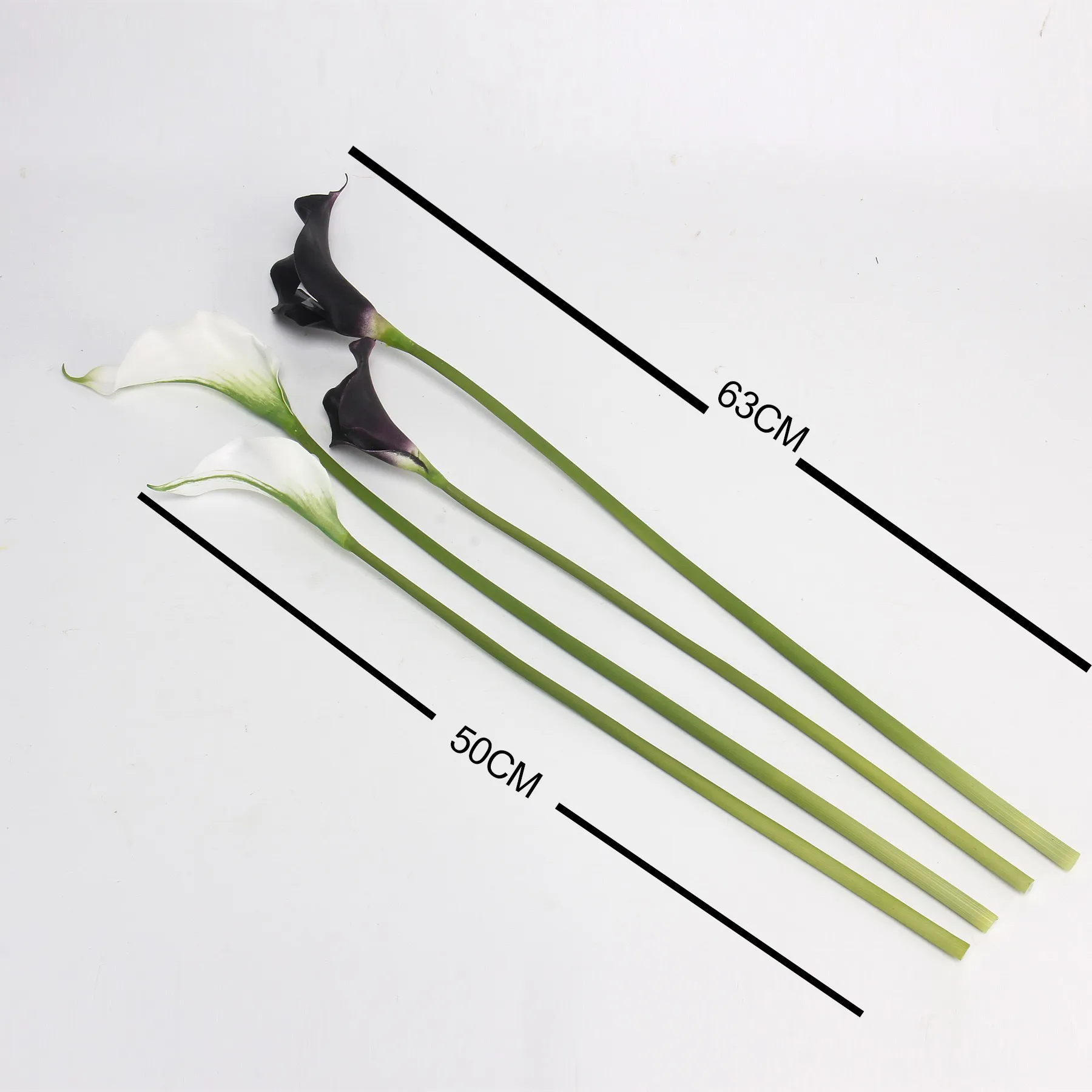 Calla lilium