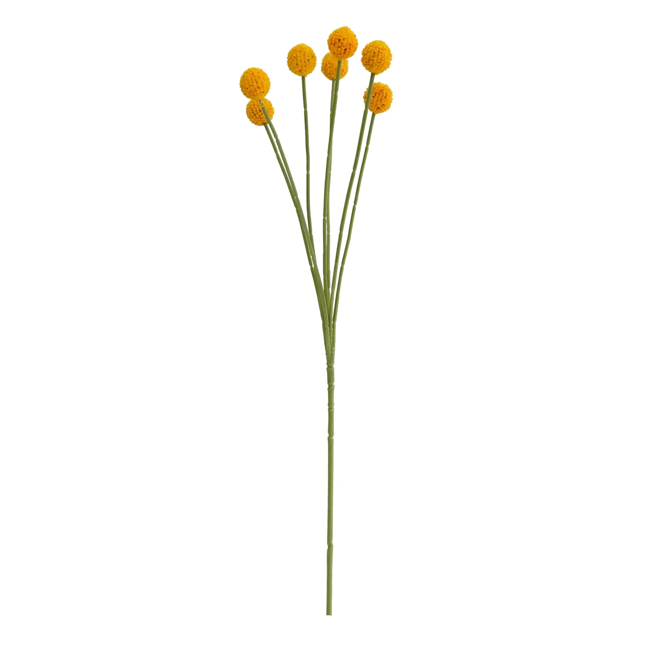 Unum aureum pila