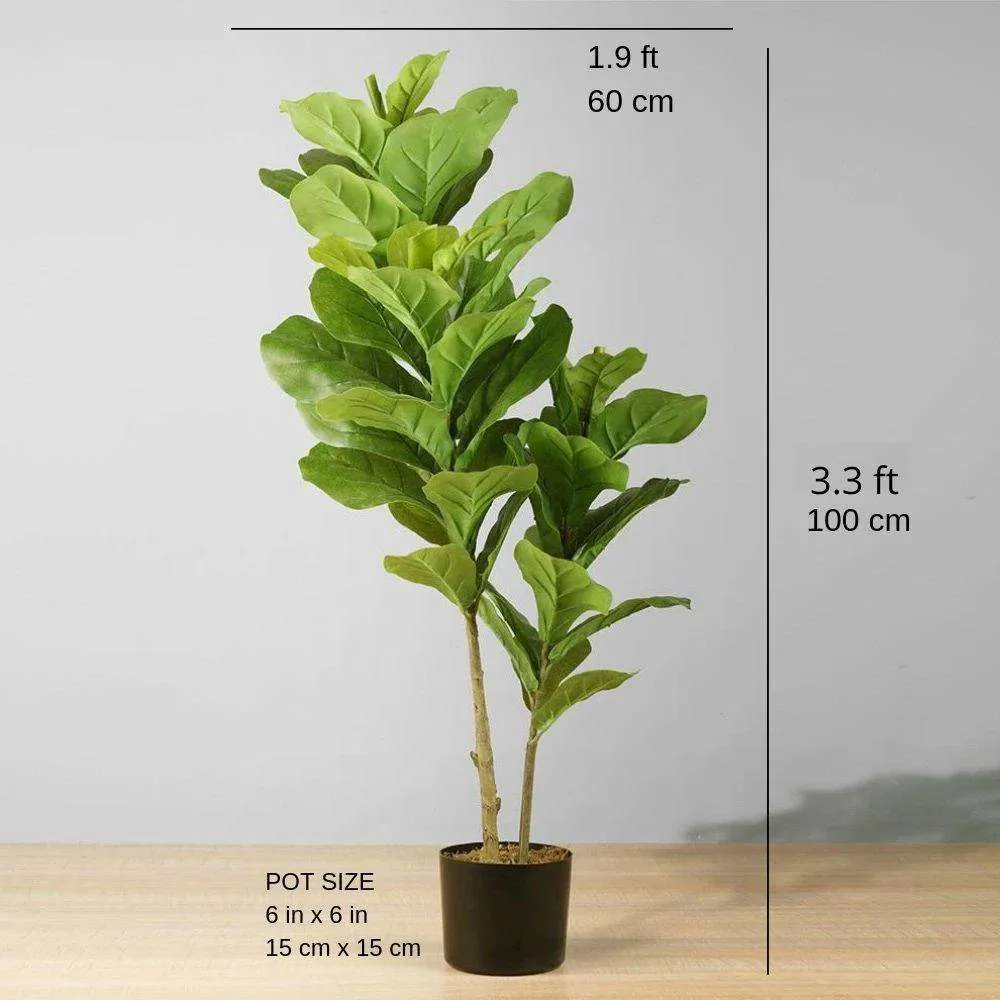 Dives artificialis fiddle folium potted plant (multa magnitudine)
