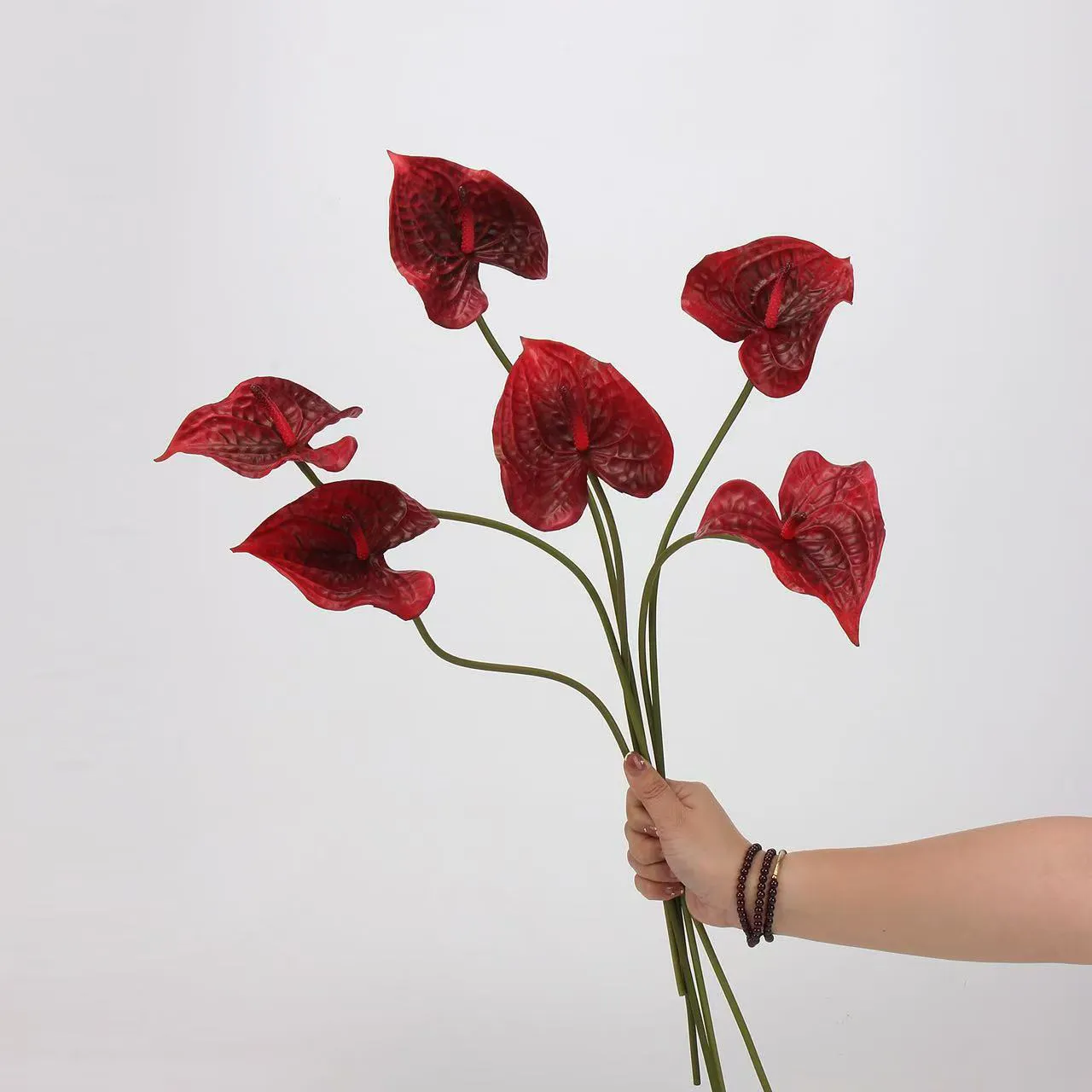 anthurium palmam