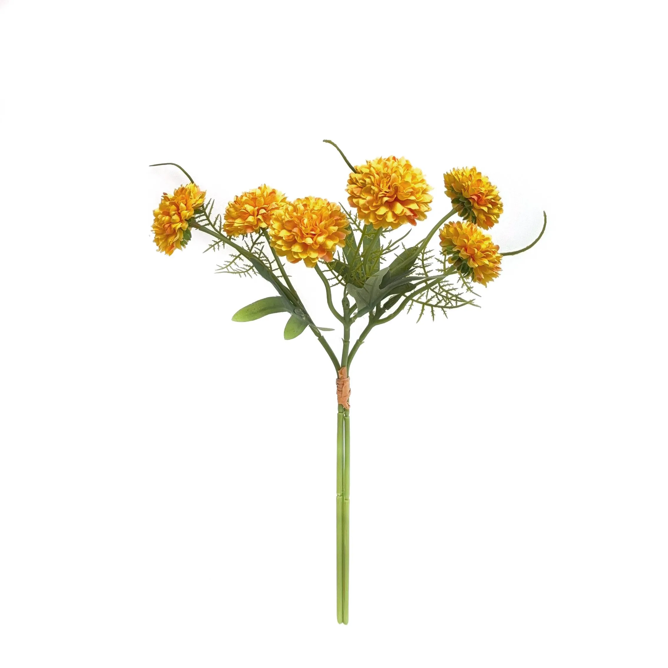 A fasciculum chrysanthemums