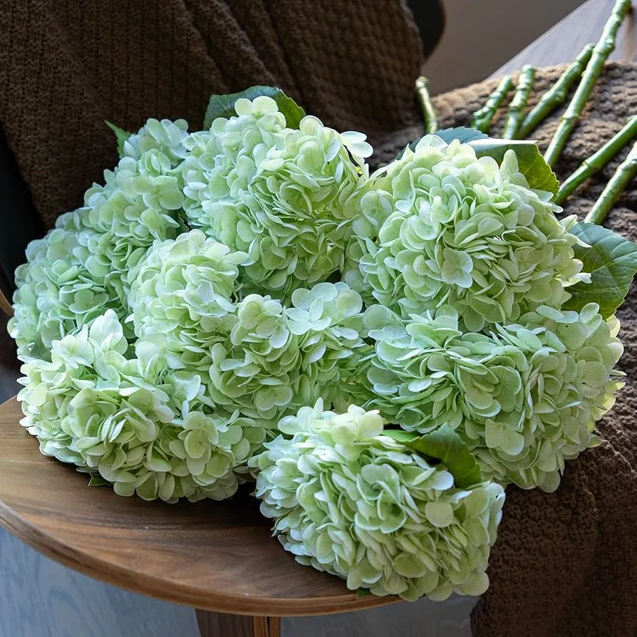 Fake flores verus tactus Hydrangeae