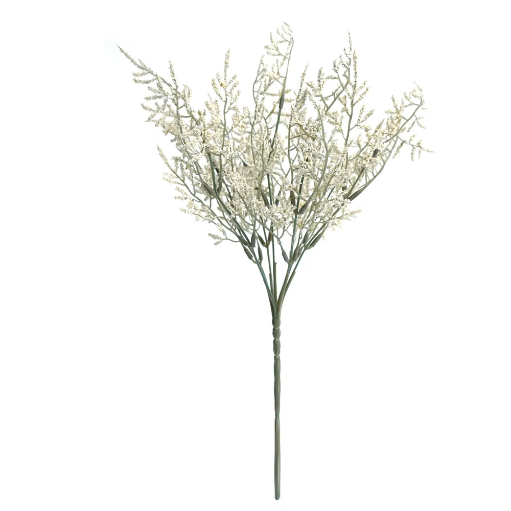posuit fasciculum amatoris folia eam